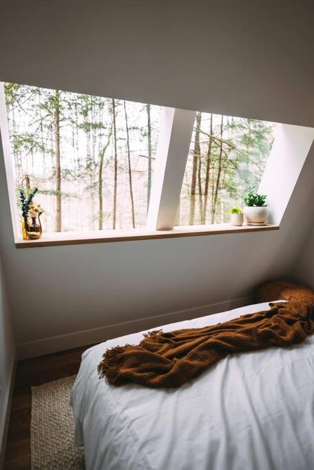 Dunlap Hollow A-Frame Rockbridge Luaran gambar