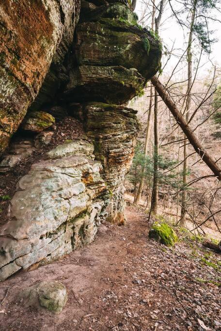 Dunlap Hollow A-Frame Rockbridge Luaran gambar