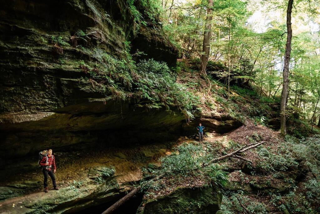 Dunlap Hollow A-Frame Rockbridge Luaran gambar