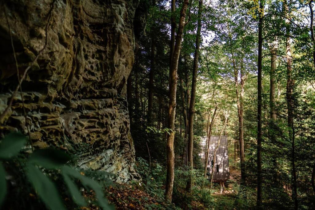 Dunlap Hollow A-Frame Rockbridge Luaran gambar