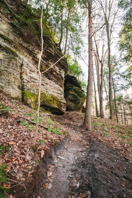 Dunlap Hollow A-Frame Rockbridge Luaran gambar