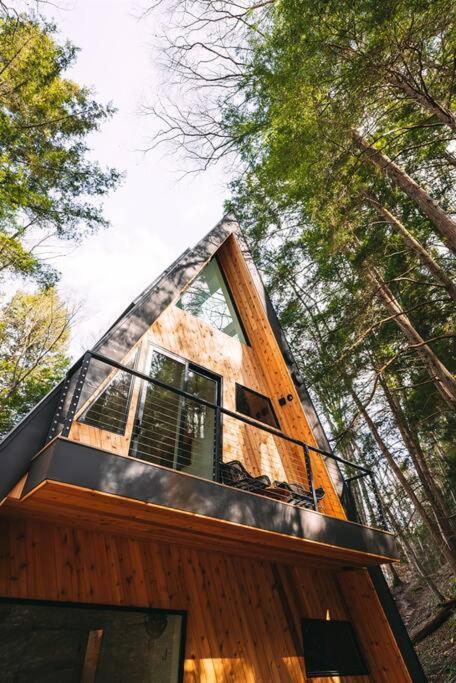 Dunlap Hollow A-Frame Rockbridge Luaran gambar
