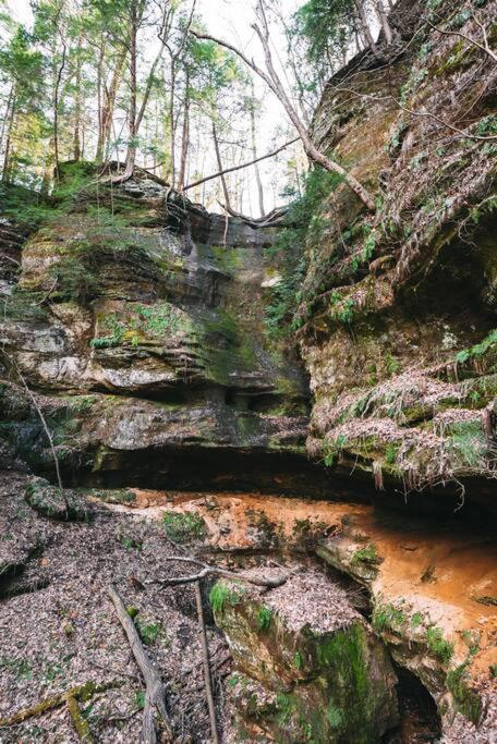 Dunlap Hollow A-Frame Rockbridge Luaran gambar