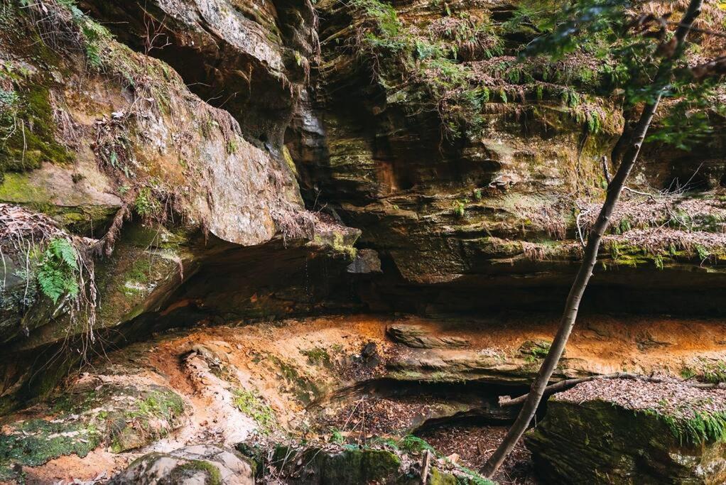Dunlap Hollow A-Frame Rockbridge Luaran gambar